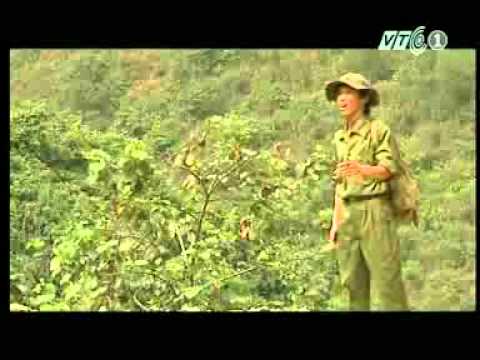 Thể hiện bởi Tuấn Anh
