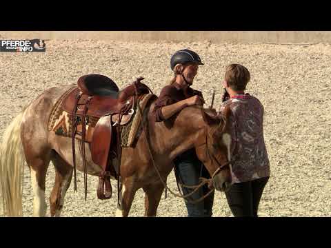 MUSTANG MAKEOVER 2018 Team Marie - EVENT