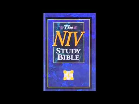 The Book of Joshua (NIV Audio Bible Non Dramatized)