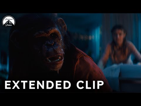 Extended Clip
