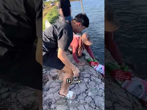 عزومة سمك على قفا الصياد #اكسبلور