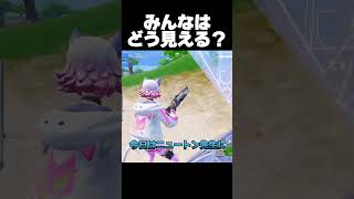 理科の実験してたら五条悟に領域展開された犯行の一部始終【フォートナイト/Fortnite】