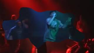 osdorpposse echte liefde