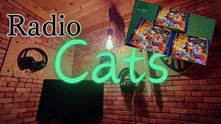 【Radio Cats】また新しい食玩買ってしまった【V作戦ビスケット】