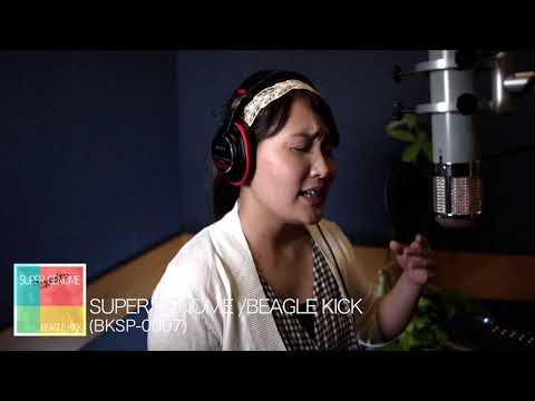 SUPER GENOME / BEAGLE KICK (2019 Recording)  - Steinberg AXR4 -