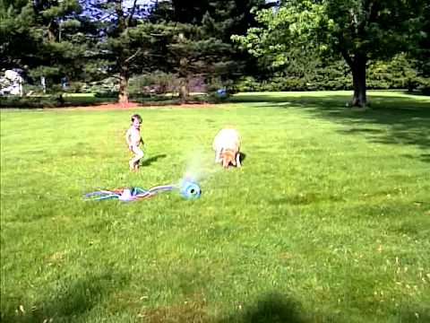 Videoe: Sprinkler Fun