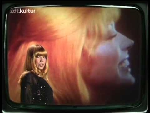 Es Müssen Keine Rosen Sein cover