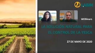 Webinar LABIN-  Labinor BIOCHAR        27/05/2020