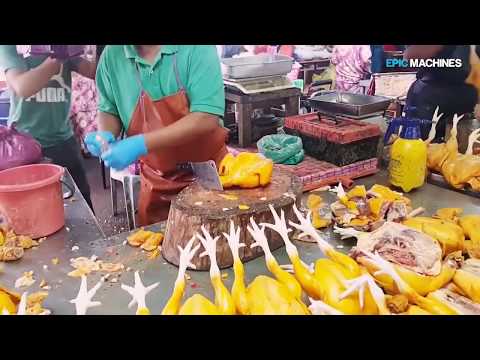 Top 15 The most videos watching 2019   VIDEOS compilation worth to Watch Now!