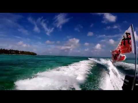 Amazing Shark Encounter with Huracan Diving