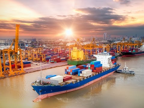 3rd grade, transport economics