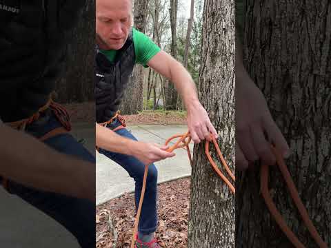 Top rope tree anchors with a bowline knot #rockclimbing #knots #rope
