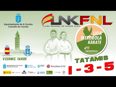 GRAN FINAL LIGA IBERDROLA DE KARATE 2022