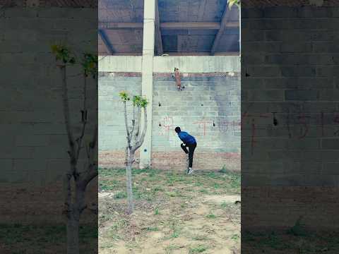 amazing dog 🐕  #dog#jamping #short #trending #viral #amazing #viralvideo