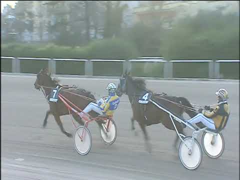 Trotto 26/11/2019 - 5ª corsa