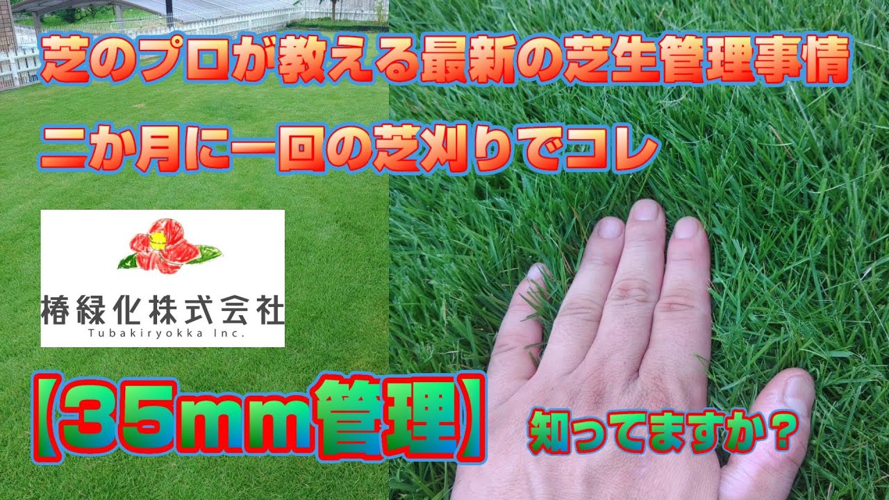【35mm管理】芝生の最新管理情報です。楽に良い芝生を管理しましょう。