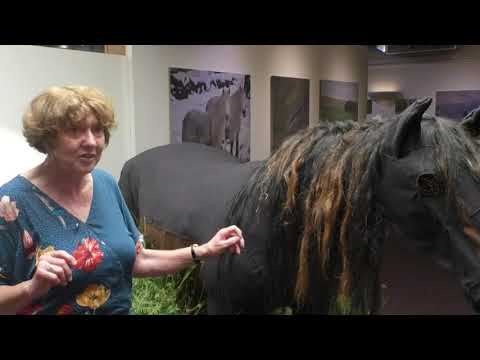 Fell Pony Exhibition Opens At Rheged Centre