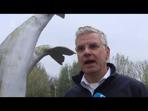 De walvisstaarten in Spijkenisse moesten tegen wervel- en valwinden kunnen