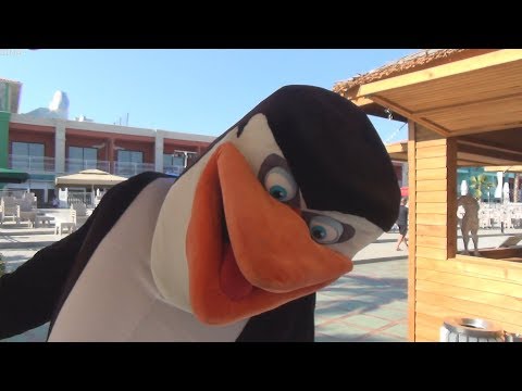  Мадагаскар шоу - ПИНГВИНЫ