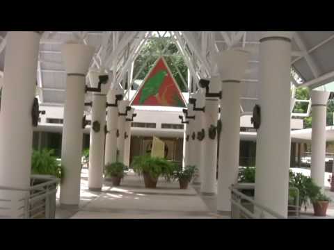 EL YUNQUE CARIBBEAN RAIN FOREST-PR HD 11