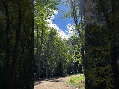Los Reartes, estás postales son las que me hacen pensar la paz que me da este lugar ❤️‍🩹😍 30/5/26