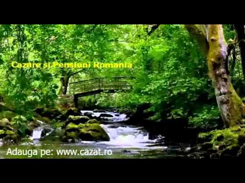 Cazare Jiul, Dolj - Cazat.ro