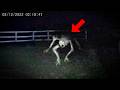 30 Most Convincing Skinwalker Encounters Caught On Camera Part 2