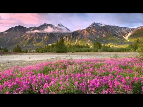 Phillip Alpha - Valente (Original Mix)