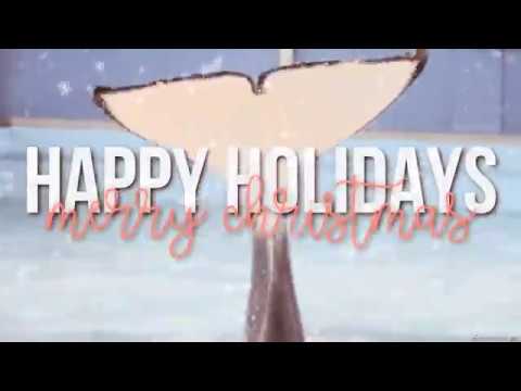 [ Oн Mѕ Belιever ] Favorite Orca MEP