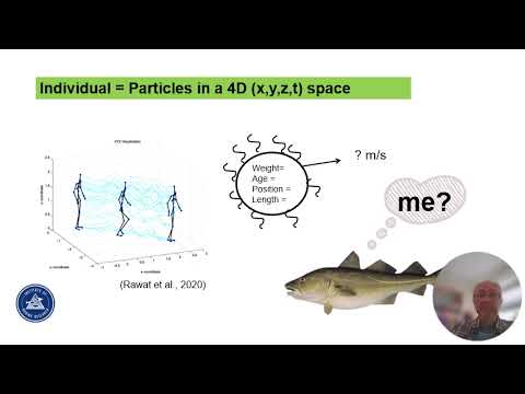 E-learning webinar on individual based modeling of mesopelagic fish, incl. the NORWECOM.E2E model