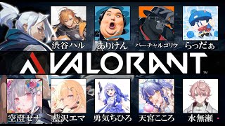 【VALORANT】久々のVALOカスタムだぁ~!【渋谷ハル】