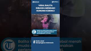 Viral Seorang Bocah Balita Dibawa Orangtuanya saat Mendaki Gunung Kerinci, Ini Penjelasan Petugas