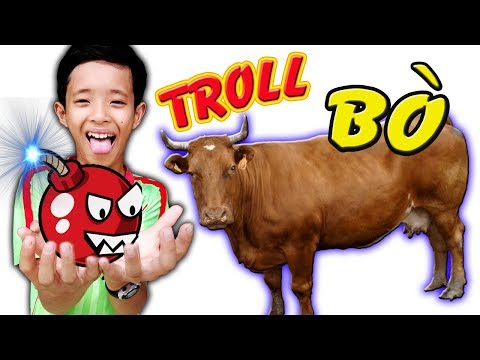Tony | Lấy Pháo Pokemon Troll Động Vật