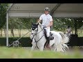 Believer Equestrian Music Video