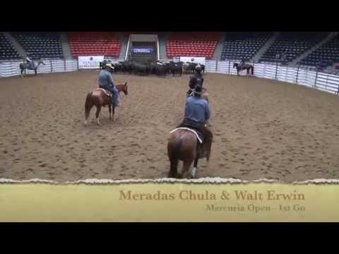 Walt Erwin riding Meradas Chula NCHA Open Mercuria 1st Go Congress