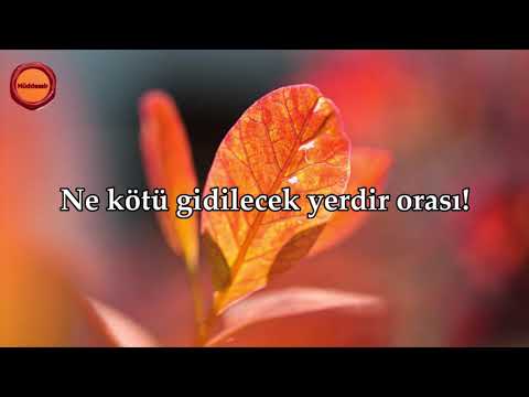 Tegabun Suresi - Maher al Muaiqly