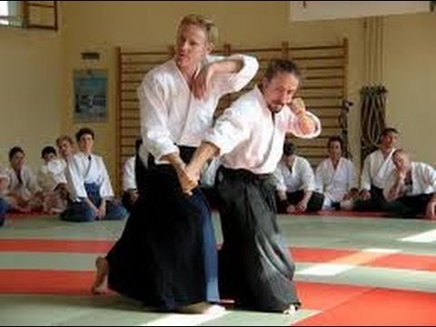 Aikido harmony