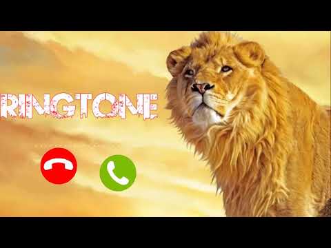 Jani Tumne Ek Sher Ko Phone Kiya Hai Ringtone | Call Ringtone