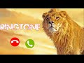 Jani Tumne Ek Sher Ko Phone Kiya Hai Ringtone | Call Ringtone