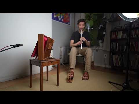 Aisling Gheal | Irish Slow Air | Low D Whistle & Shruti Box