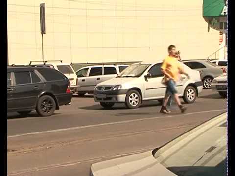 Курских водителей приучают к вежливости
