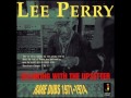 Lee Scratch Perry, Perry In Dub