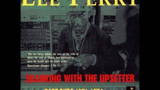 Lee Scratch Perry, Perry In Dub