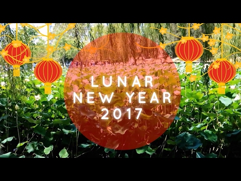 How Many Sydney Buddhist Temples Have You Been To? - Chinese / Lunar New Year 2017 Vlog