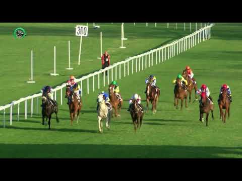 8.4.2018 - 8. dostihy - Cena Starého hája