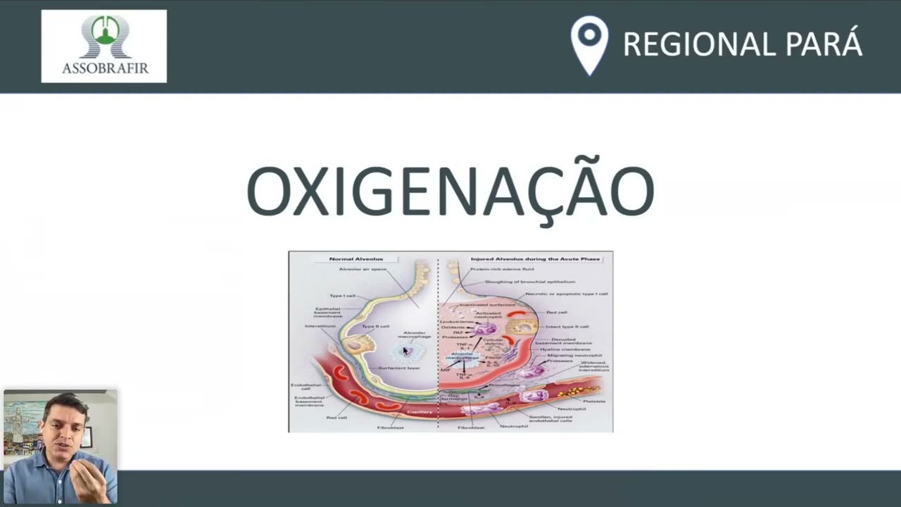 MONITORIZAÇÃO DA VENTILAÇÃO MECÂNICA NEONATAL E PEDIÁTRICA