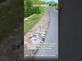 Home 21 Video thumbnail