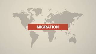 Switzerland - Migration