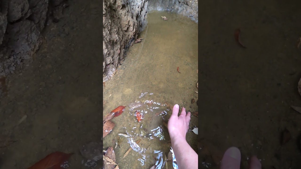 秘密基地食堂は本日休業いたします