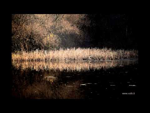 Josef Voltr - Déšť, vůz a pláč